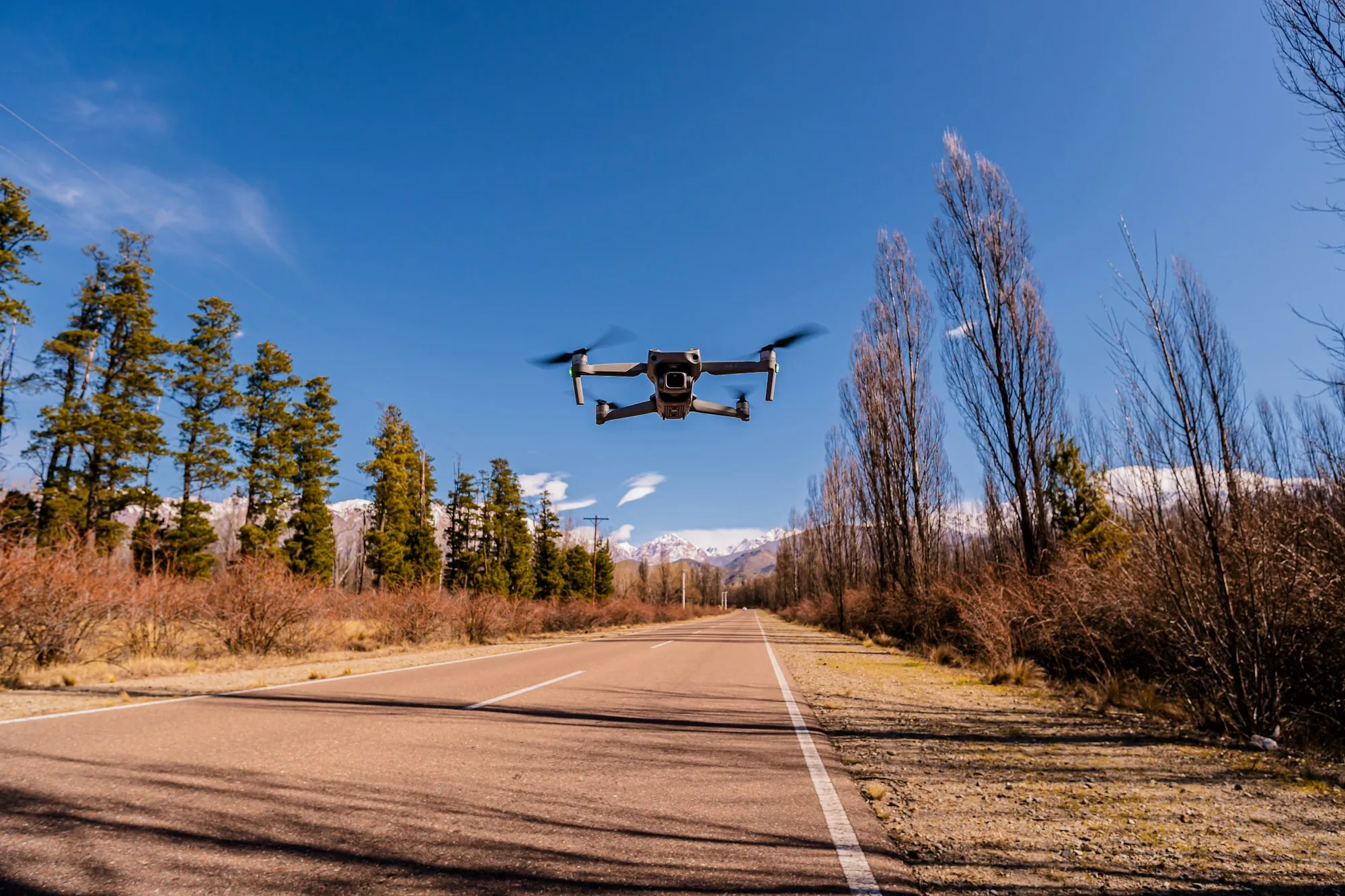 Drone hovering over a tree-lined road