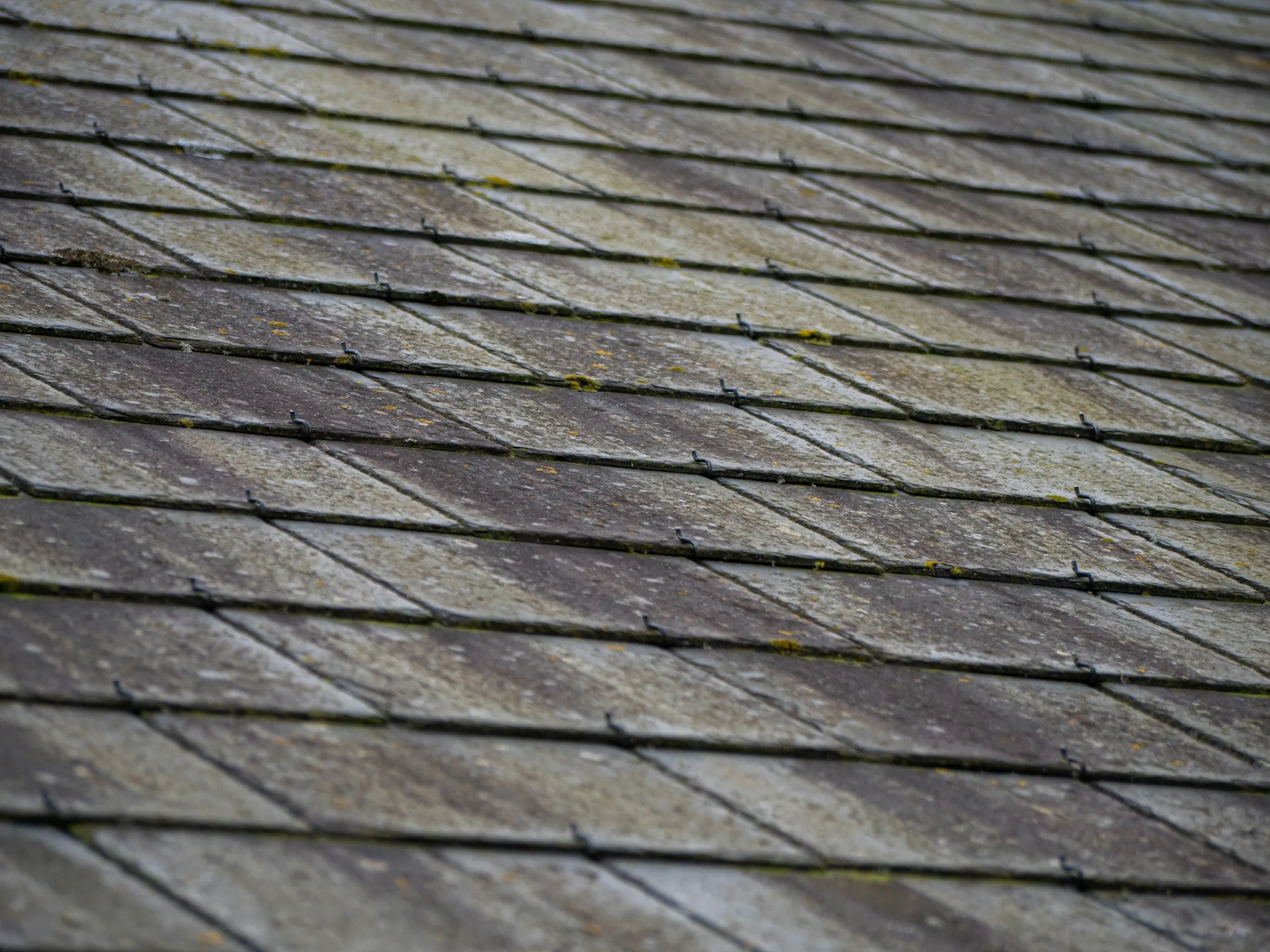 Worn asphalt shingles with patches of moss, a sign a Brookhaven roof may need replacing instead of another repair