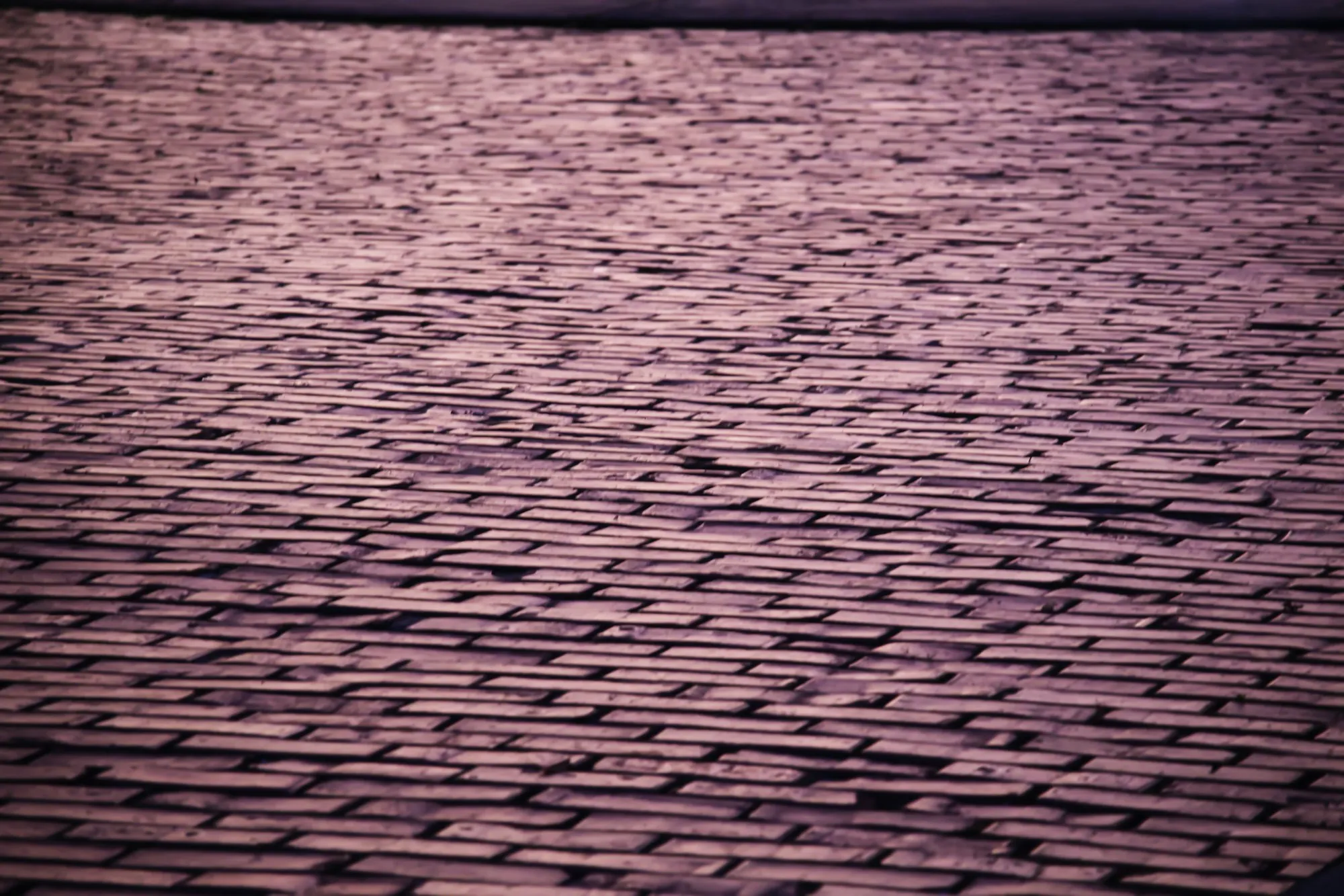 Rows of muted purple-gray asphalt shingles across a roof